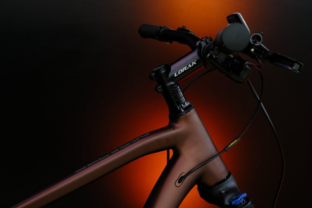 LORAK Sel 9850 Матовый Коричневый 19р (на рост 171-182)